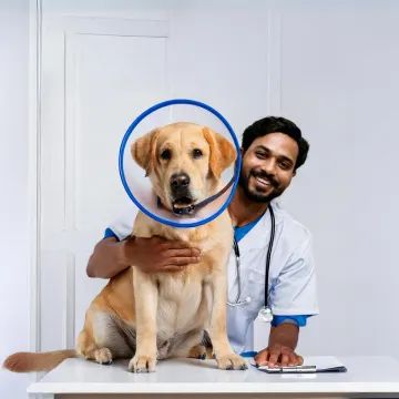 Pet eye checkup